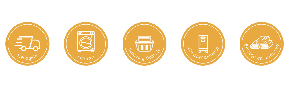 Servicios Actualizados vut